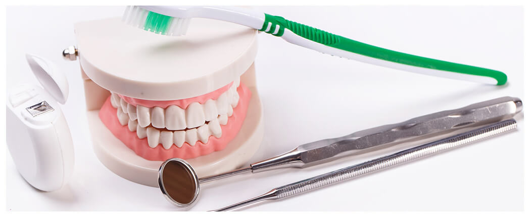 Toothbrush, dental tools, and model teeth.